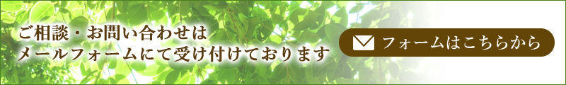 ご相談・お問い合わせはメールフォームにて受け付けております